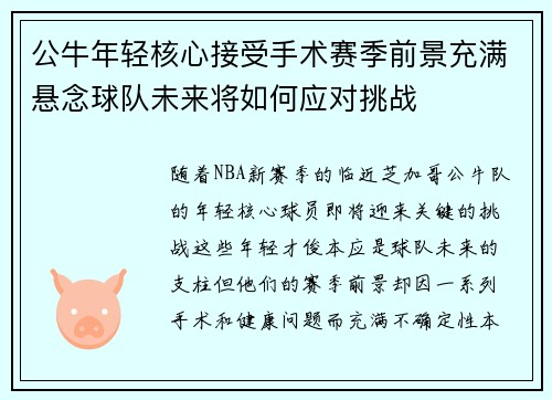 公牛年轻核心接受手术赛季前景充满悬念球队未来将如何应对挑战