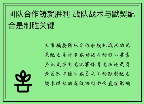 团队合作铸就胜利 战队战术与默契配合是制胜关键