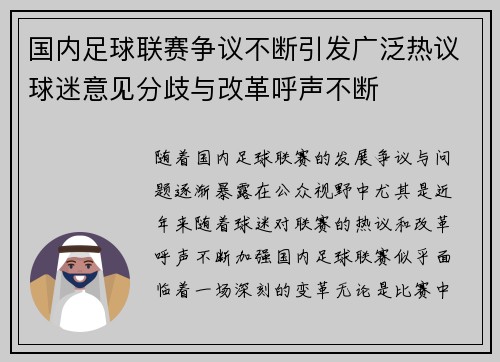 国内足球联赛争议不断引发广泛热议球迷意见分歧与改革呼声不断